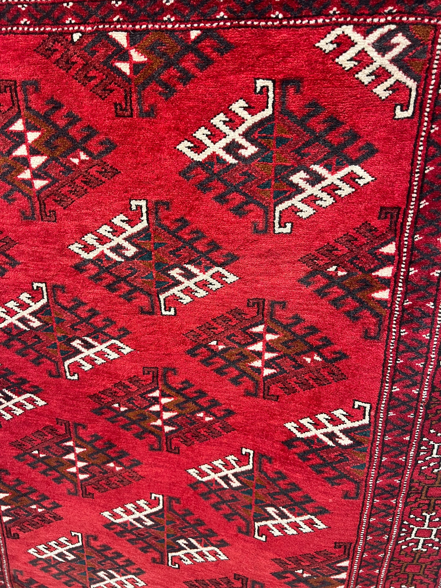 TURKMAN YAMOOTI  532