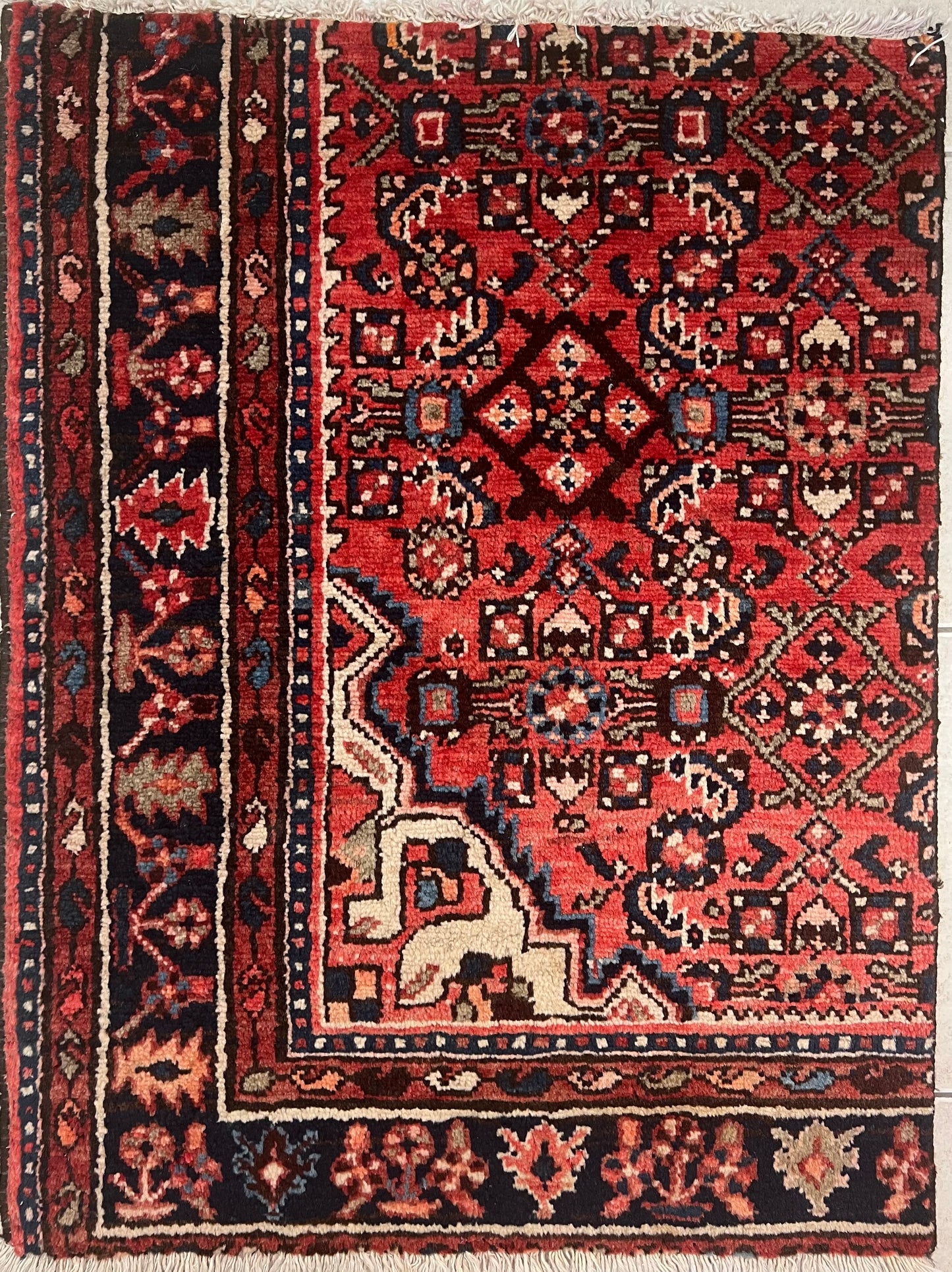 SANEH RUG