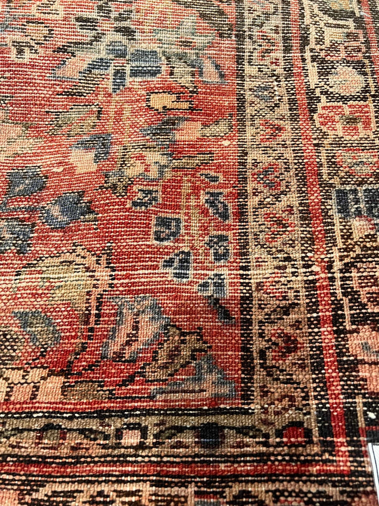 MEHHRABAN DARJEZIN (HAMEDAN)