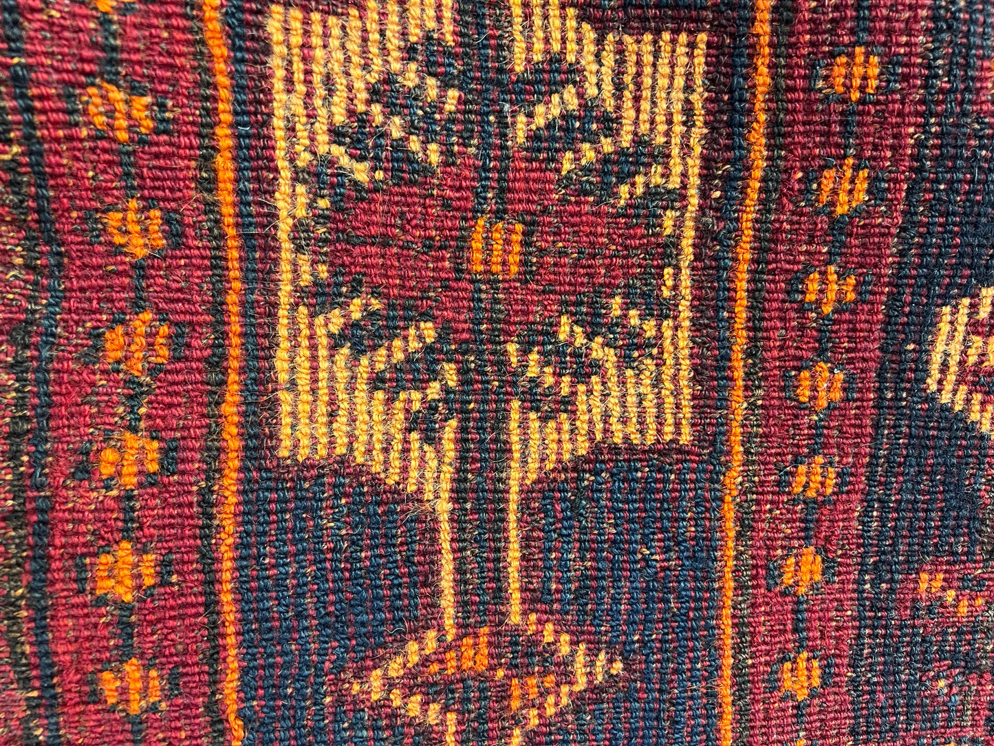 SHIRAZ (IGDER SHESH BOLOOKI)