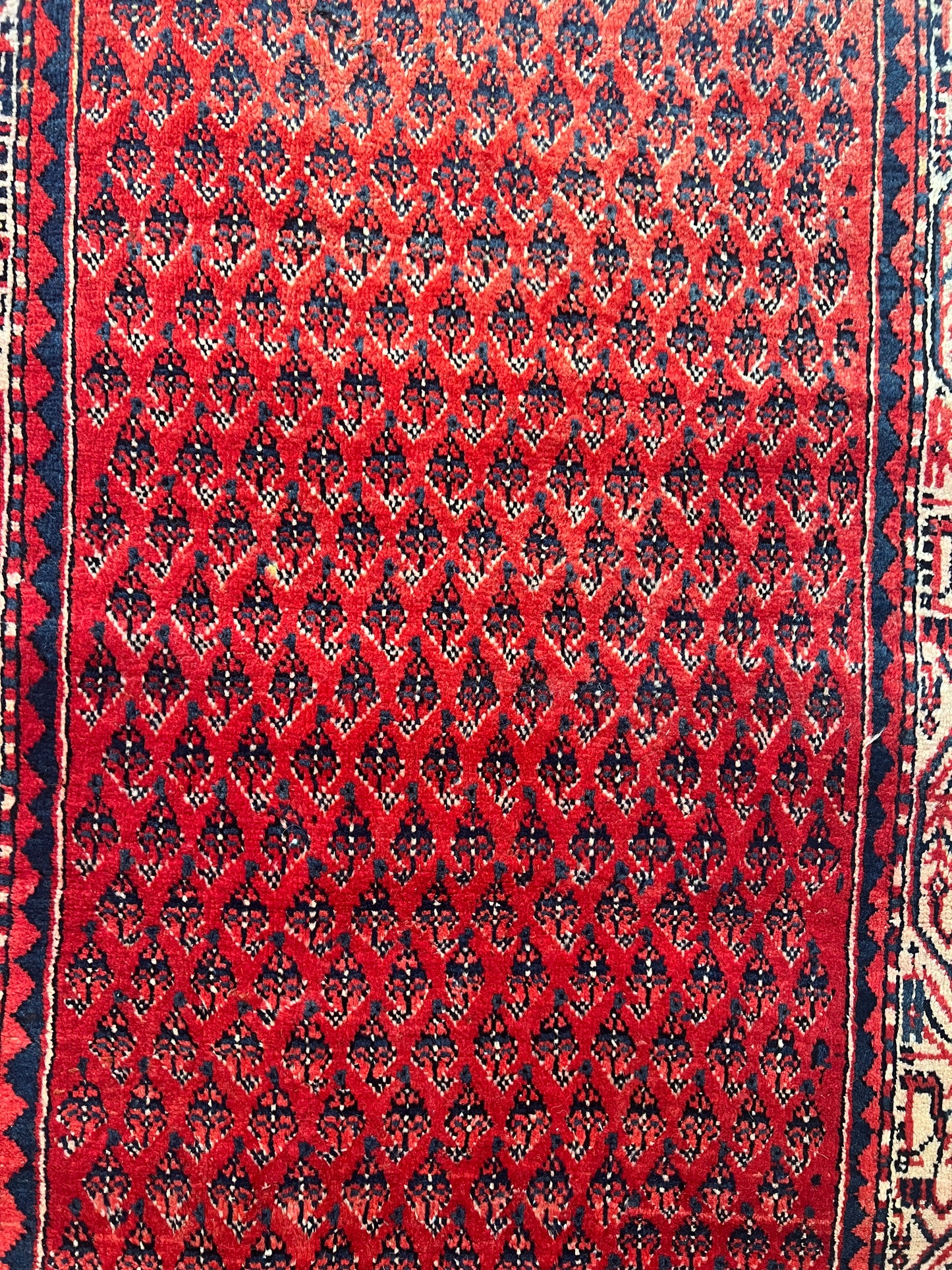 MIR RUG SARAVAND ARAK