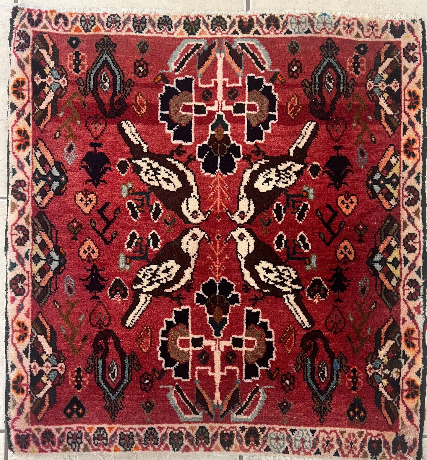 SHIRAZ Qashqaee Rug