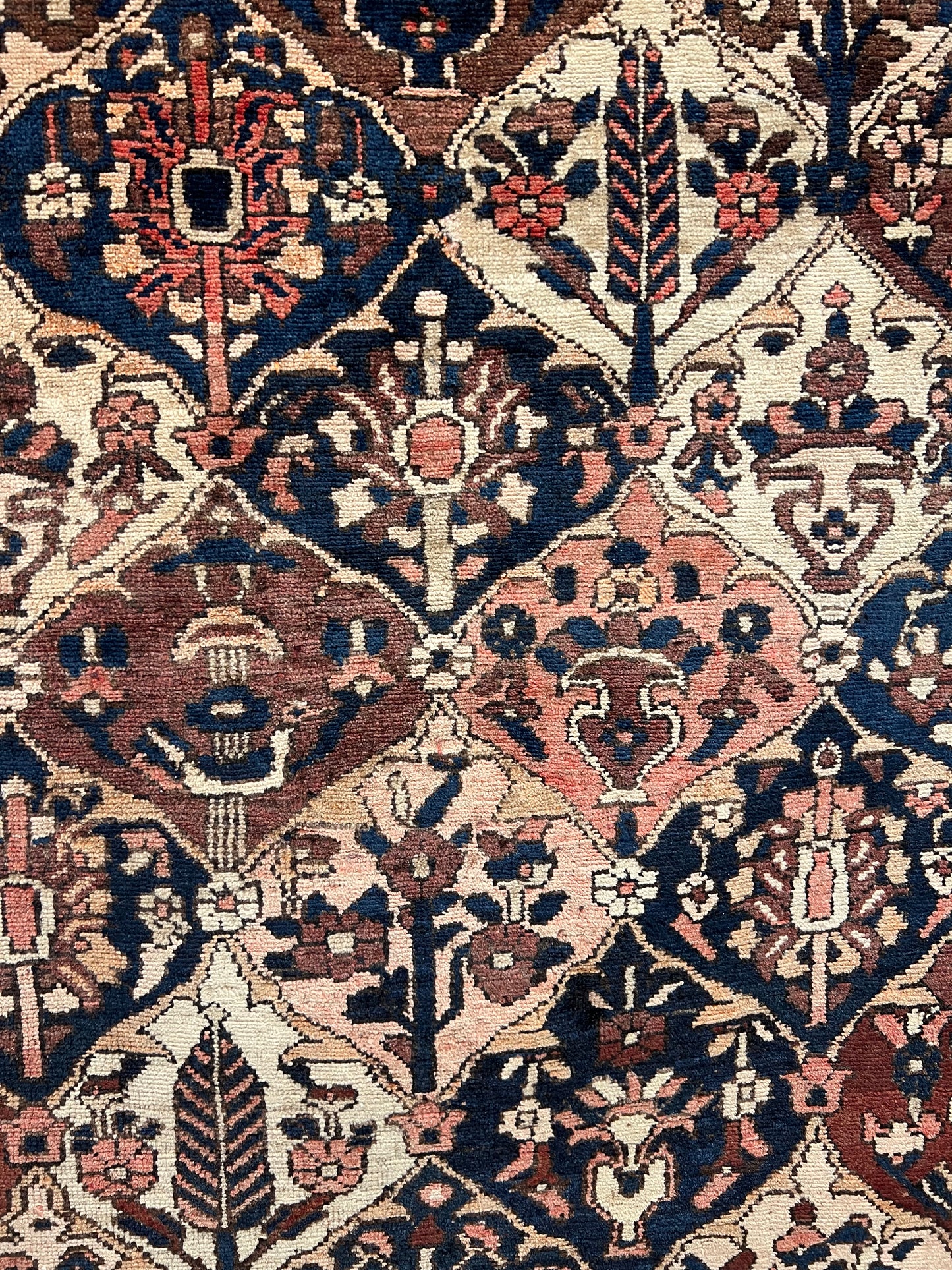 Bakhtiari  bandi chale shotor