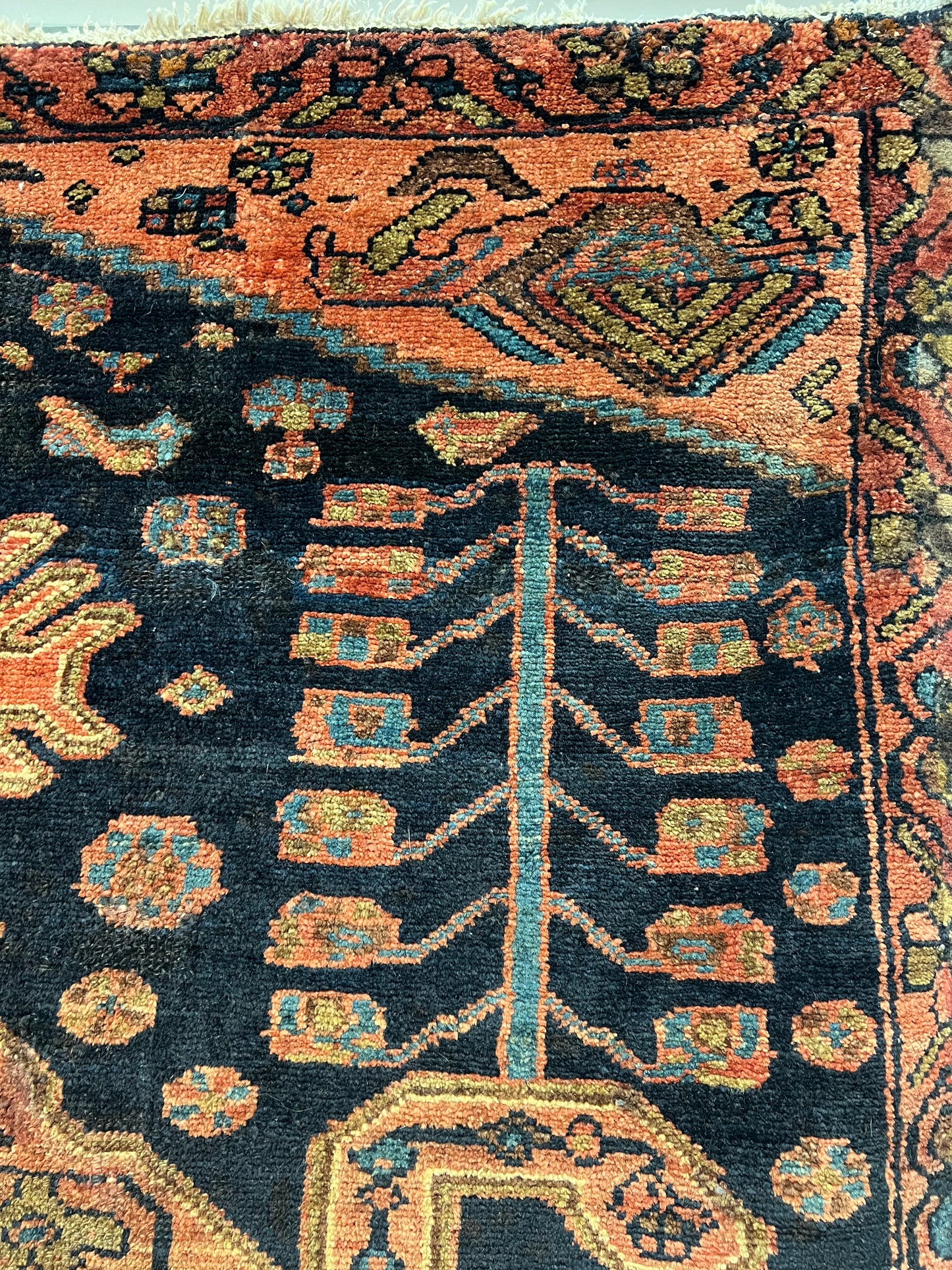 Zanjan 100 Years Old Wool on Cotton