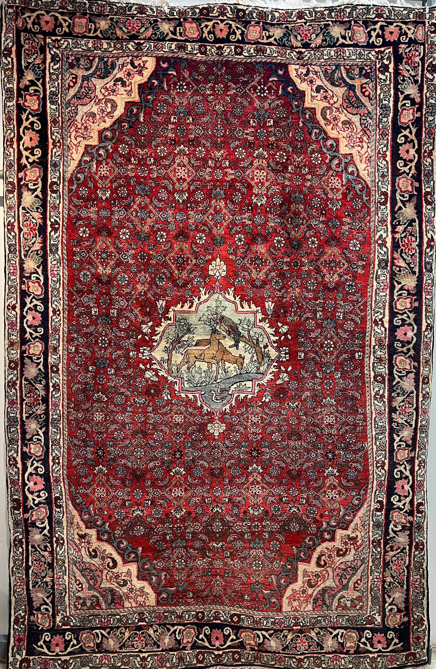 BIJAR RUG