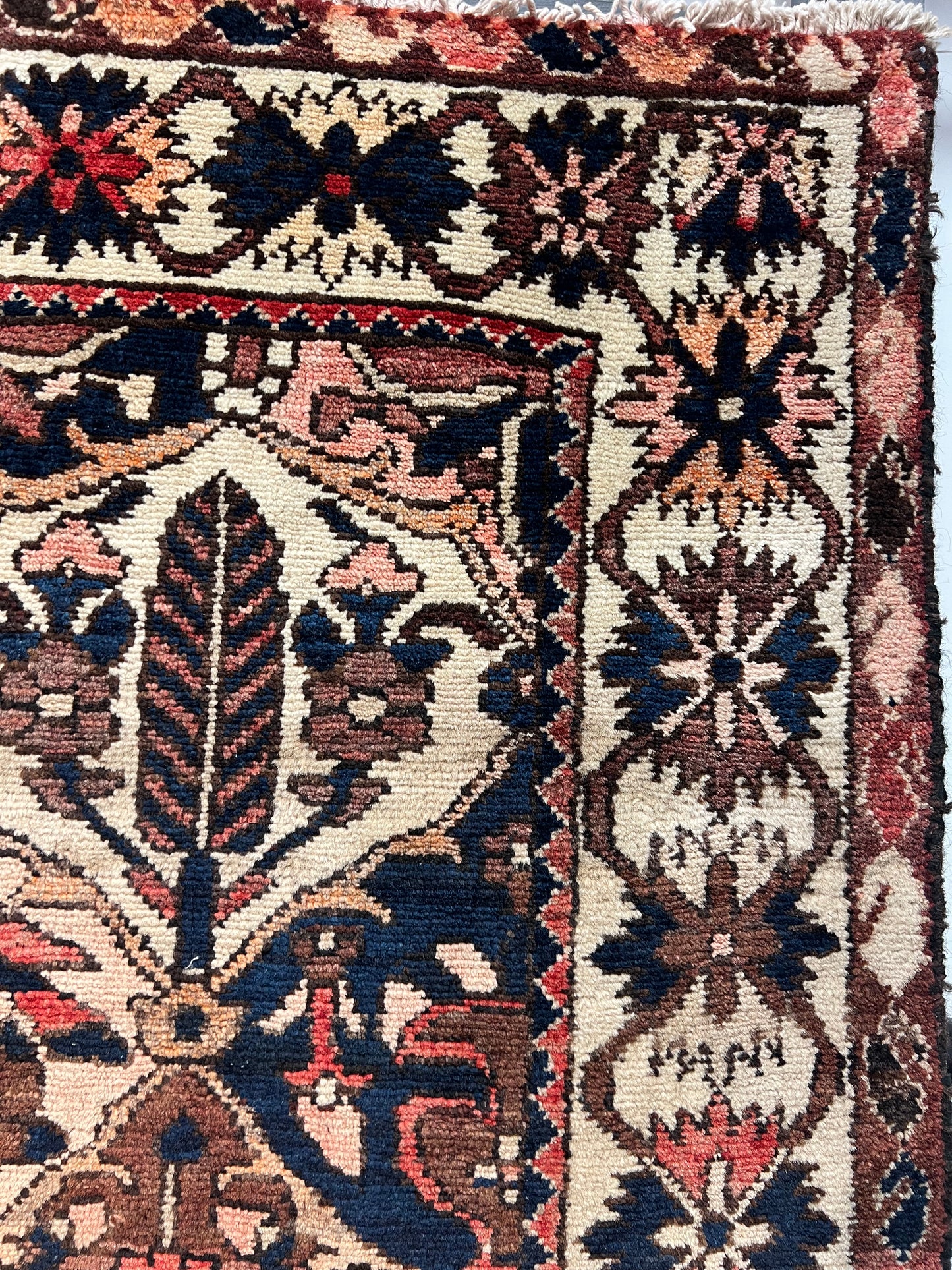 Bakhtiari  bandi chale shotor