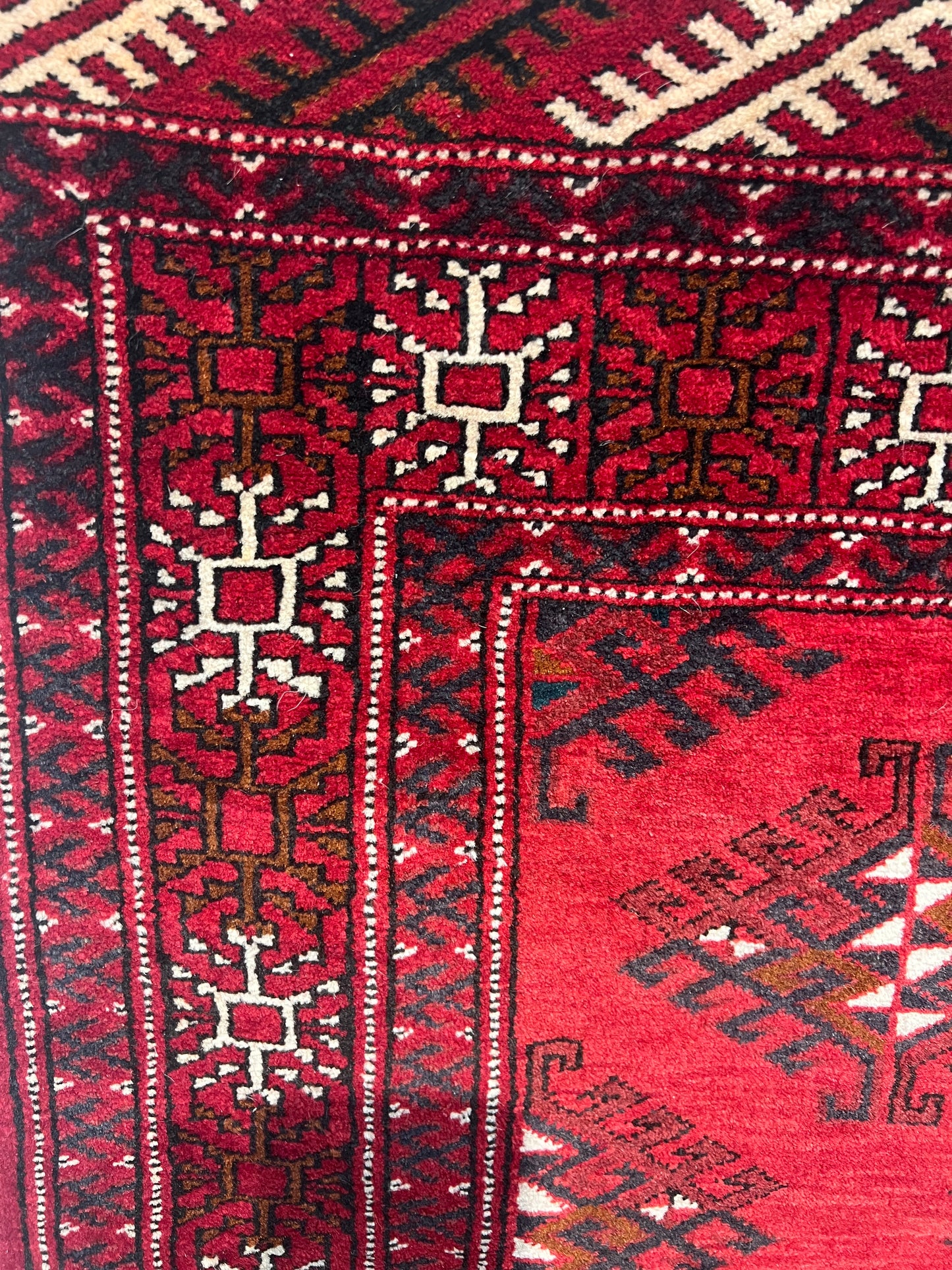 TURKMAN YAMOOTI  532