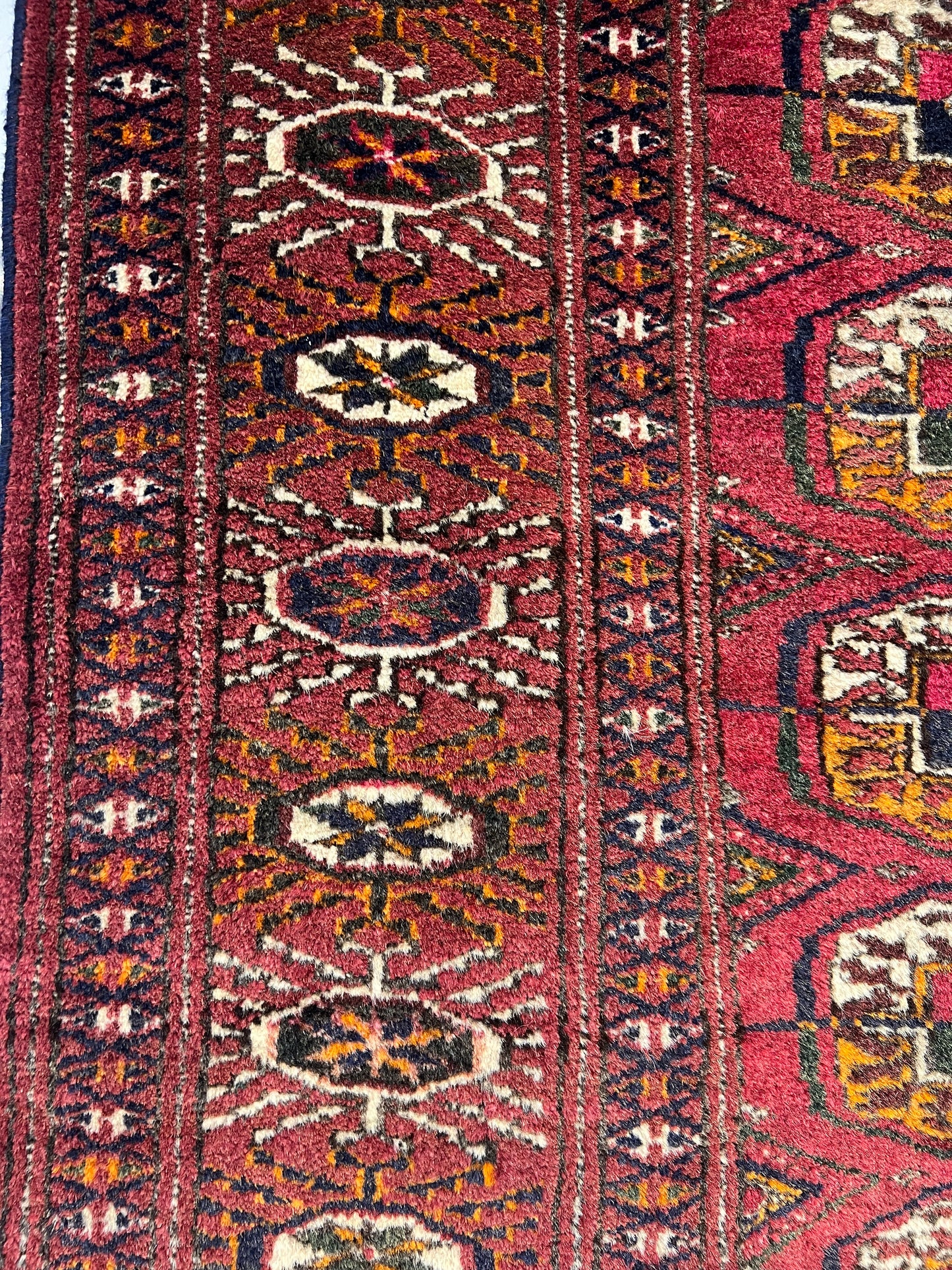TURKMAN RUG YAMOOTY