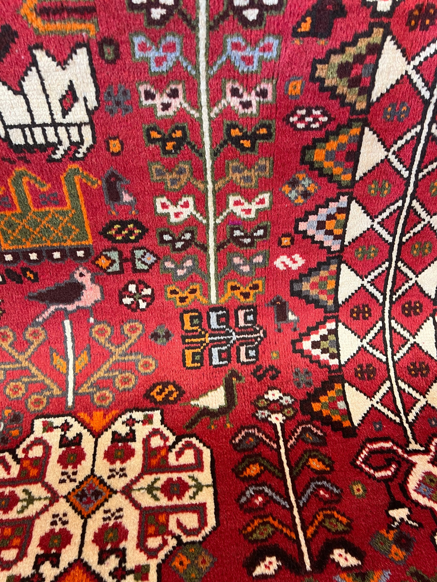 SHIRAZ RUG QASHQAEE