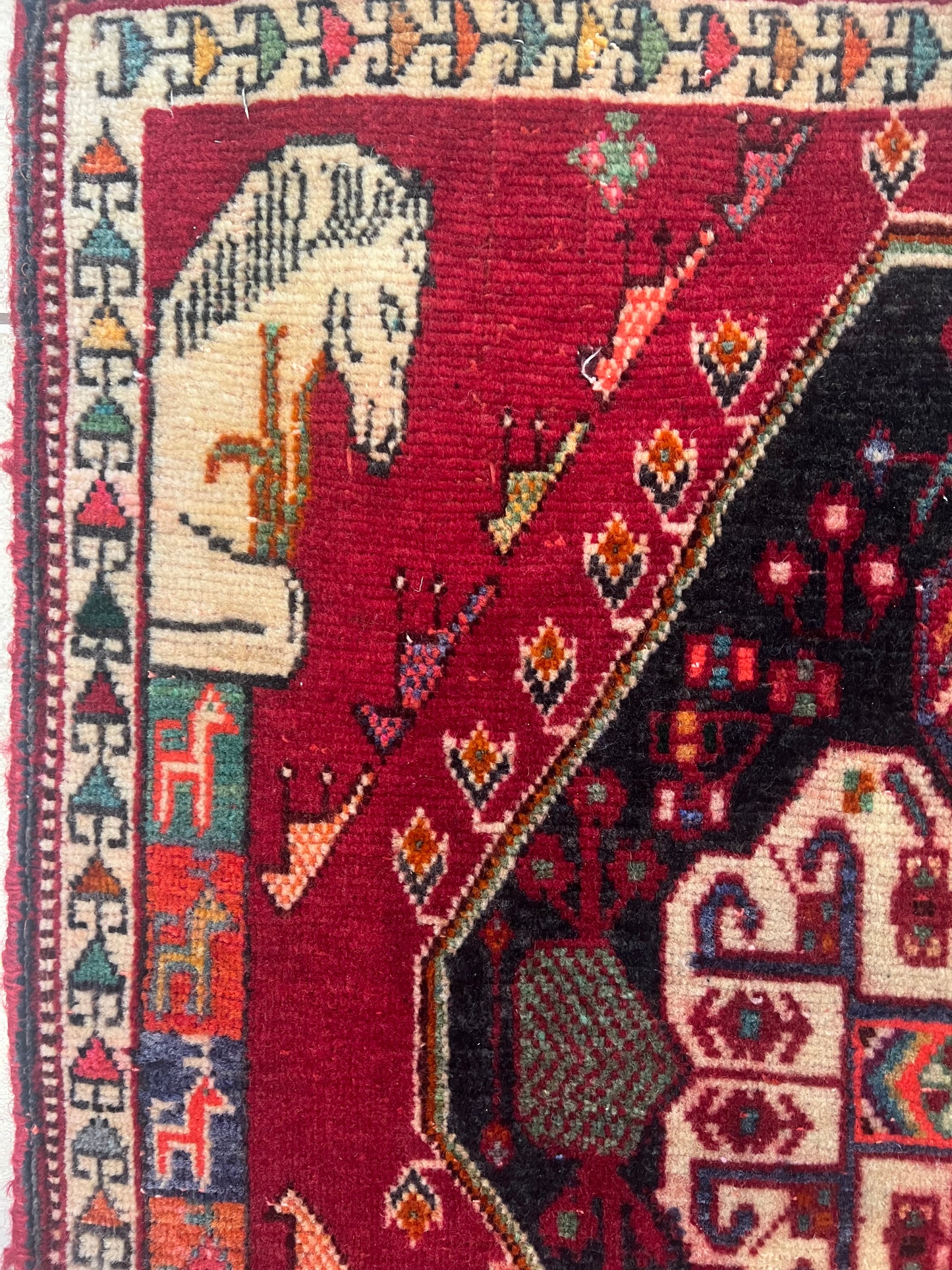 SHIRAZ Qashqaee Rug