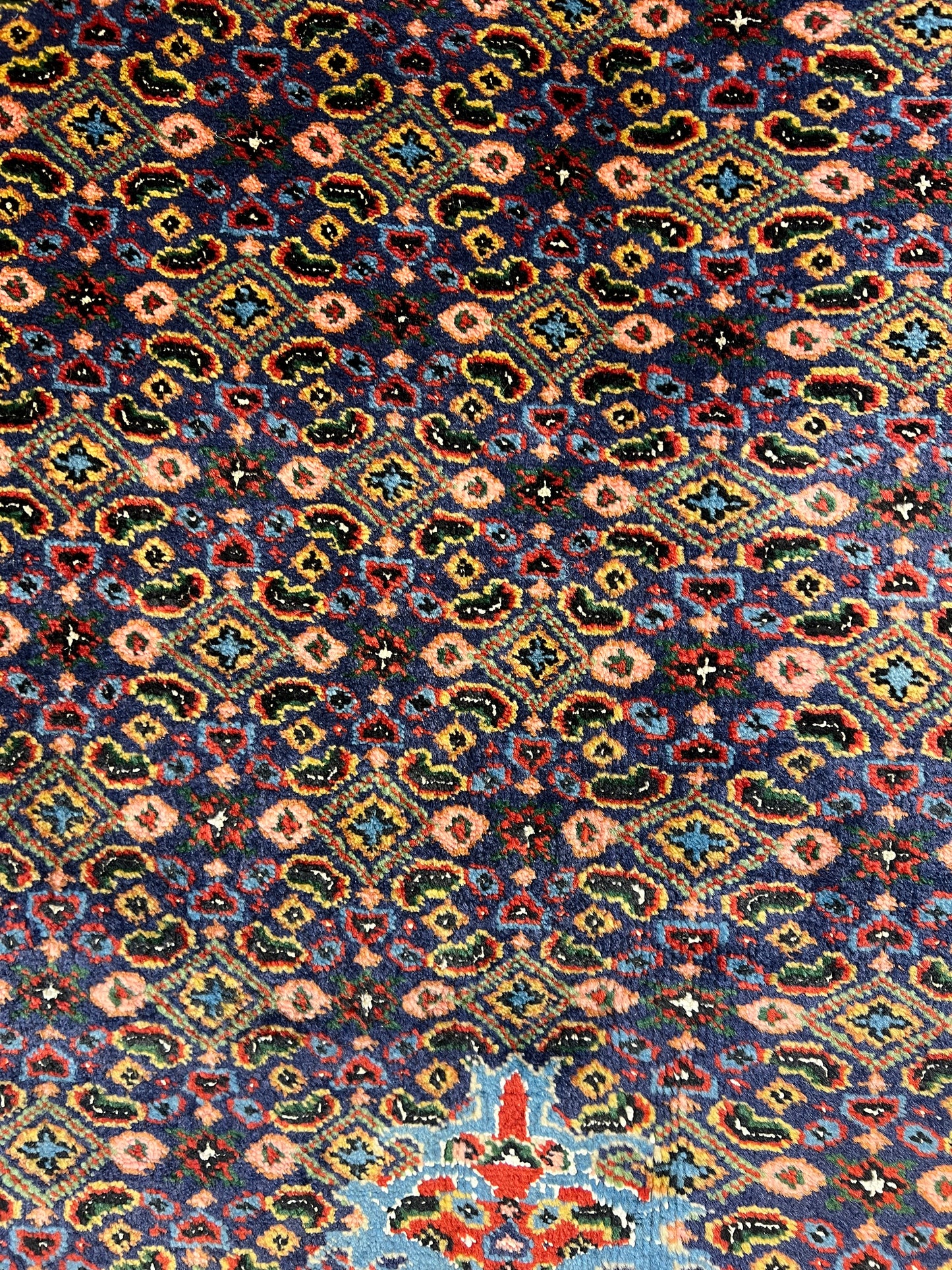 ARDEBIL RUG AZARBAYJAN IRAN FISH PATTERN