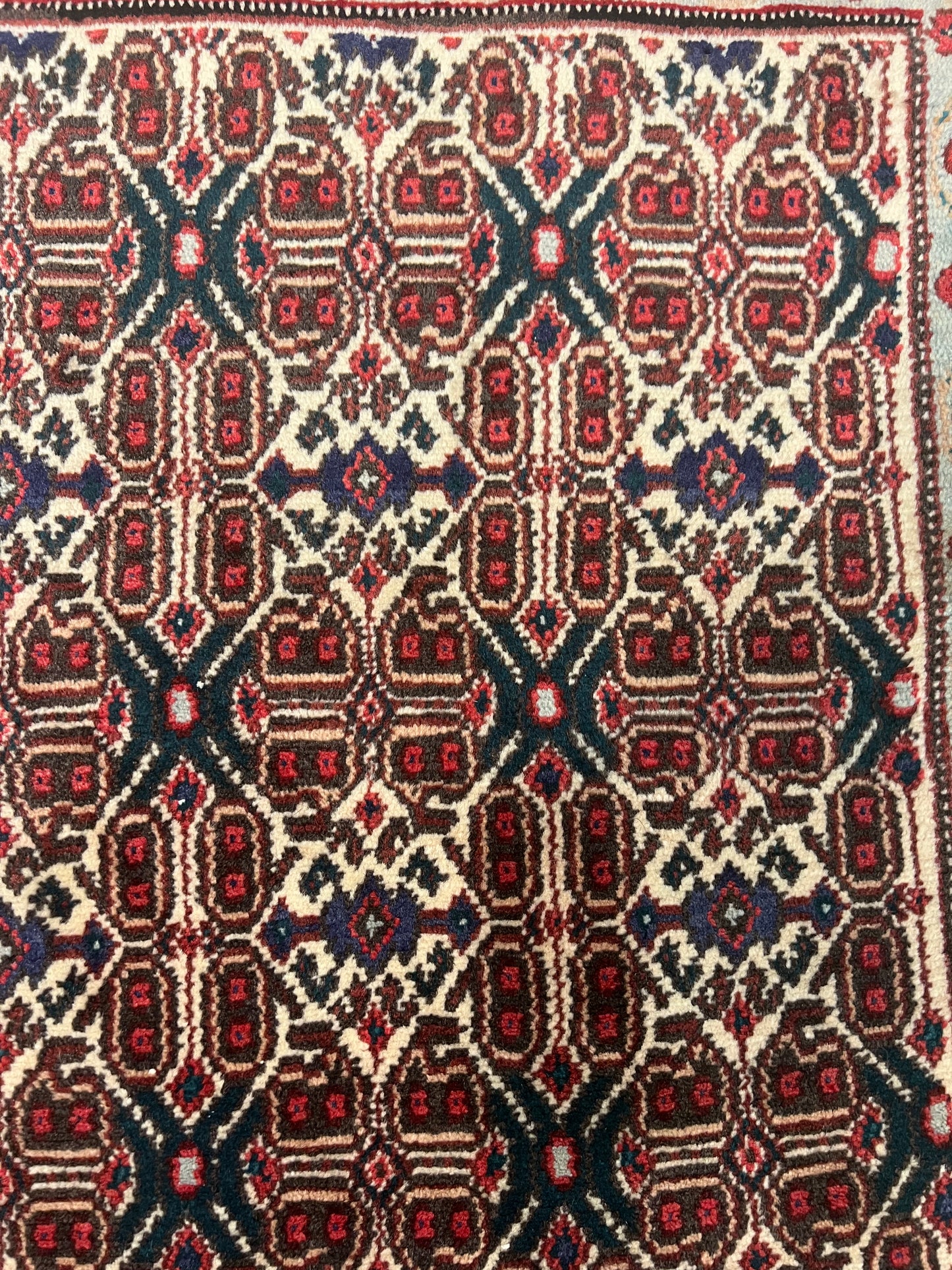 SANEH RUG