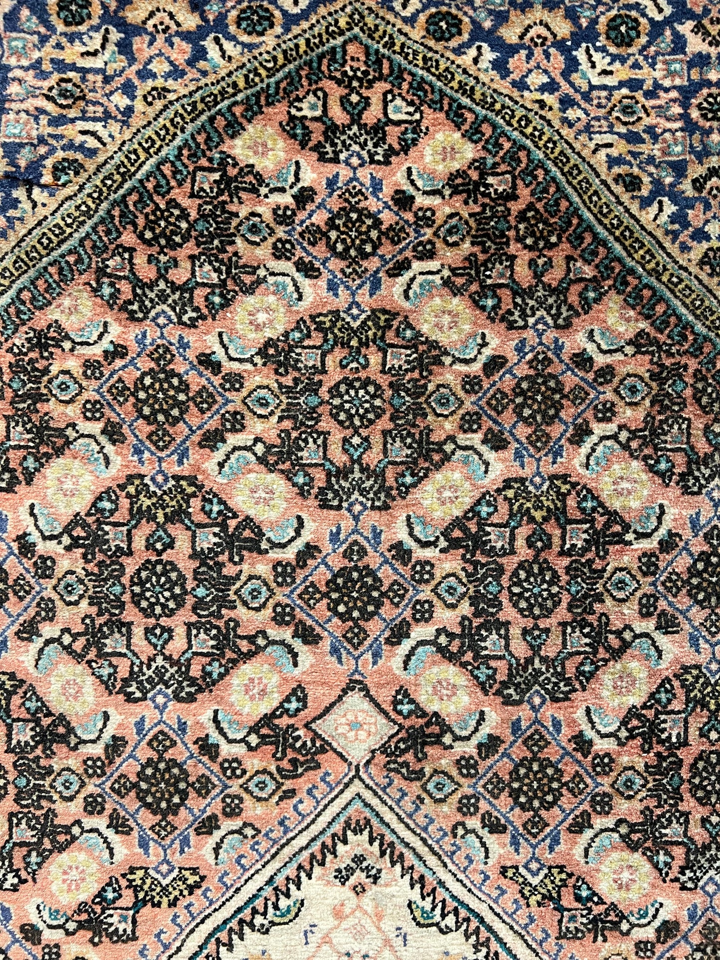 BIJAR RUG