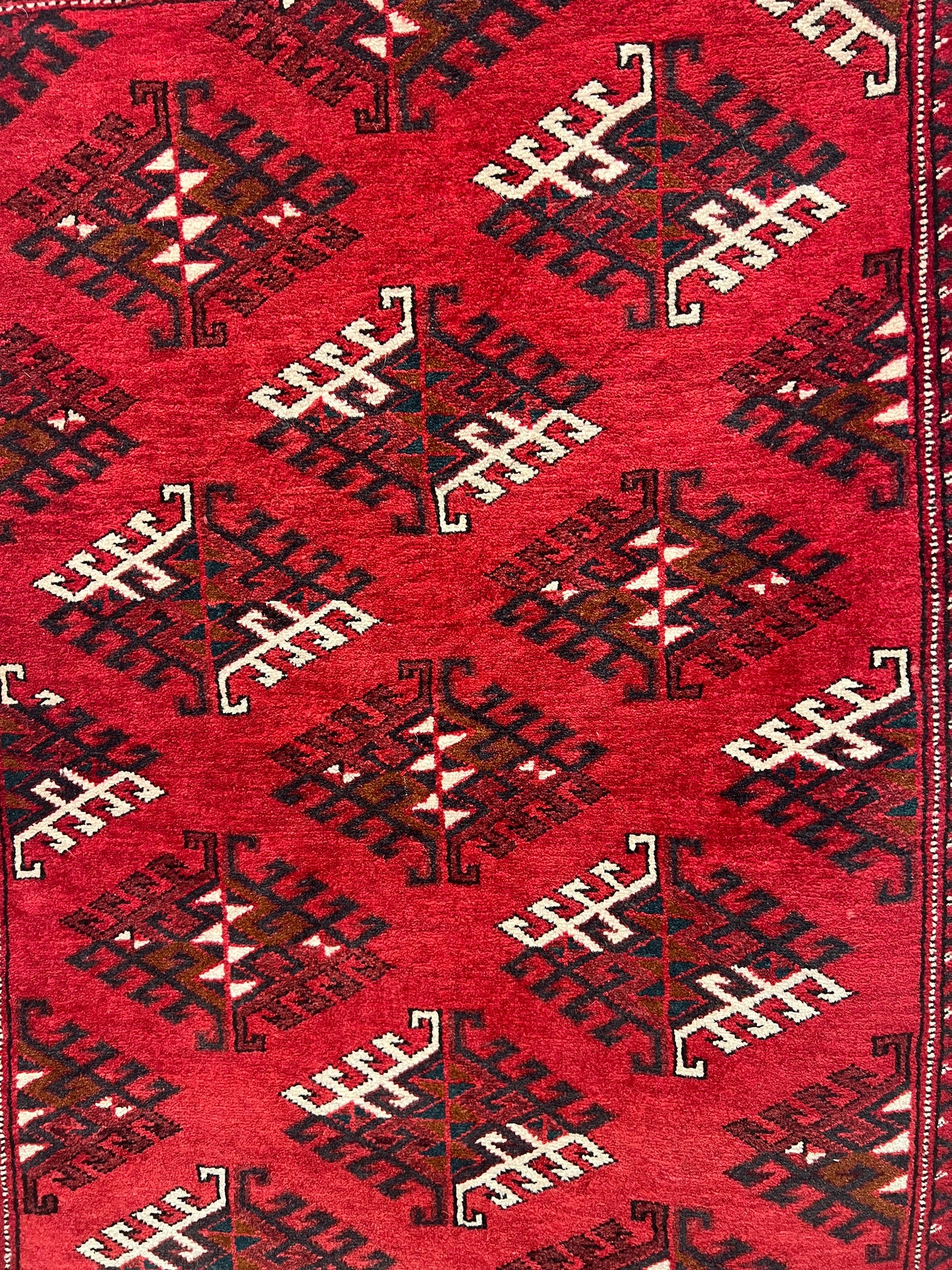 TURKMAN YAMOOTI  532