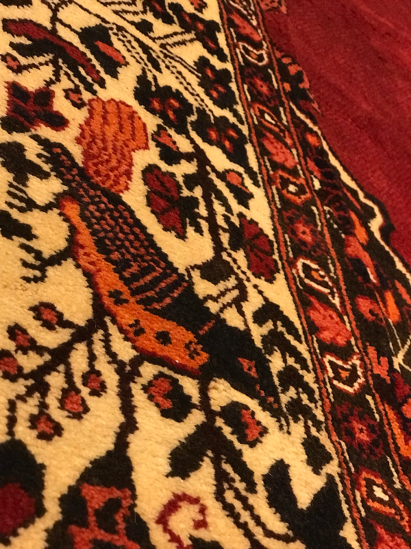 HINEGOON BAKHTIARI RUG (SHAHRE KORD)