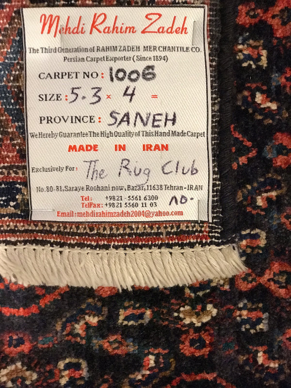 SANEH (SANANDAJ -KORDESTAN -IRAN)1006