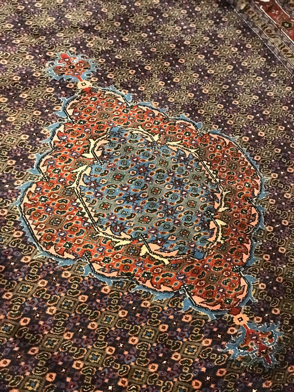 ARDEBIL RUG AZARBAYJAN IRAN FISH PATTERN