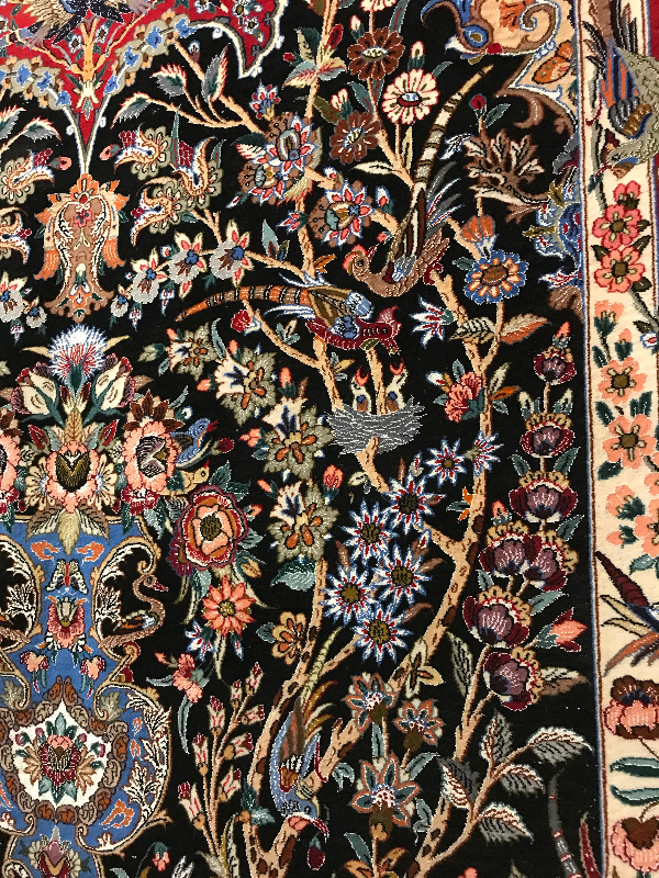 ESFEHAN MEHRABI ( ARK)GOLDANI 48