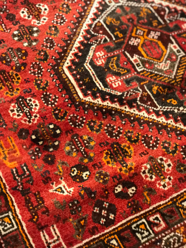 SHIRAZ QASHQAI RAHIMLOO 1284