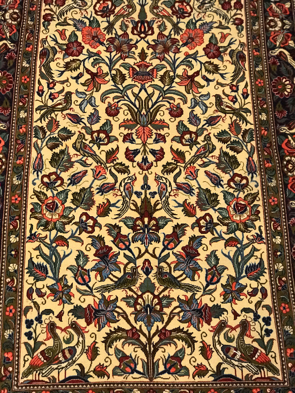 SAVEH KORK GOL O BOLBOL 23