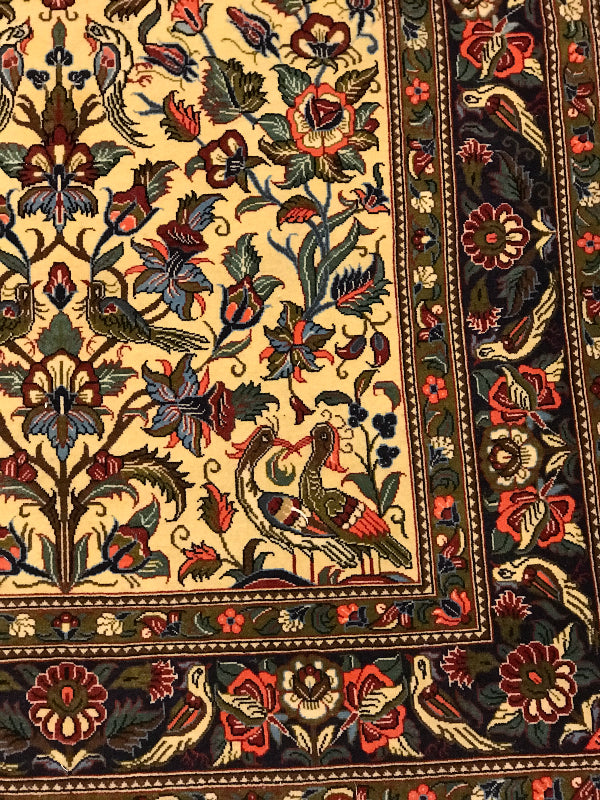 SAVEH KORK GOL O BOLBOL 23