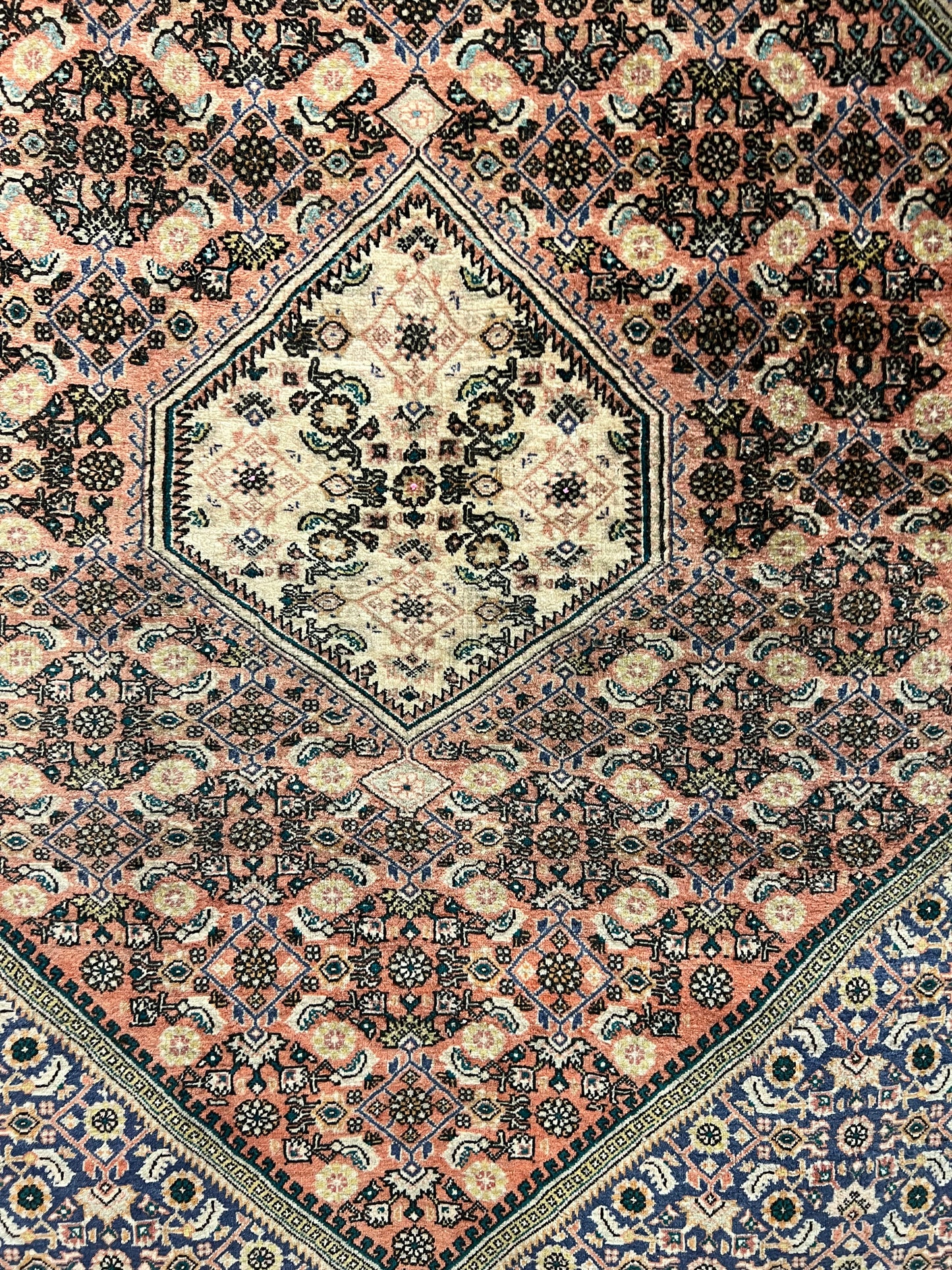 BIJAR RUG