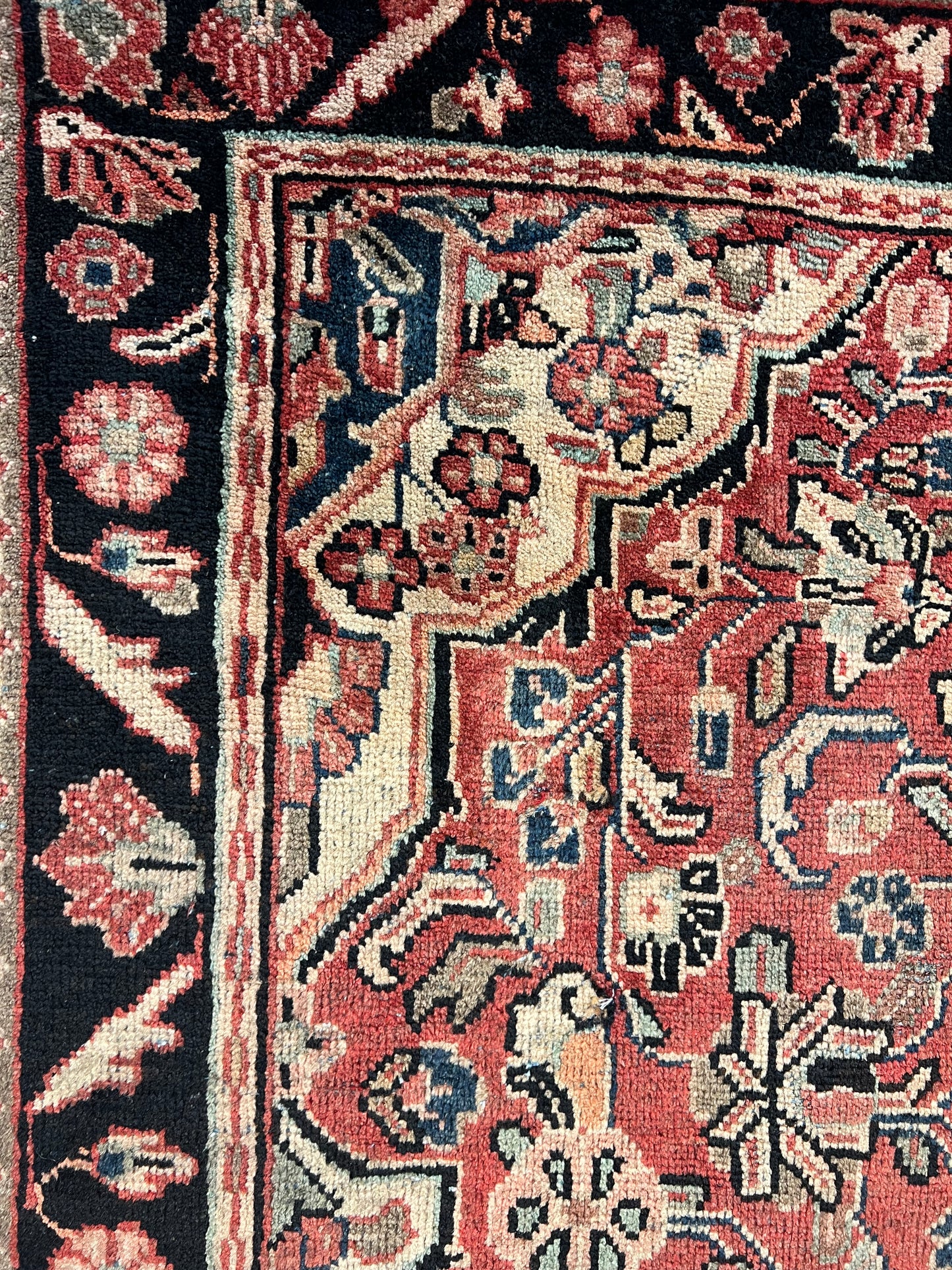 MAHAL MOSHG ABAD RUG