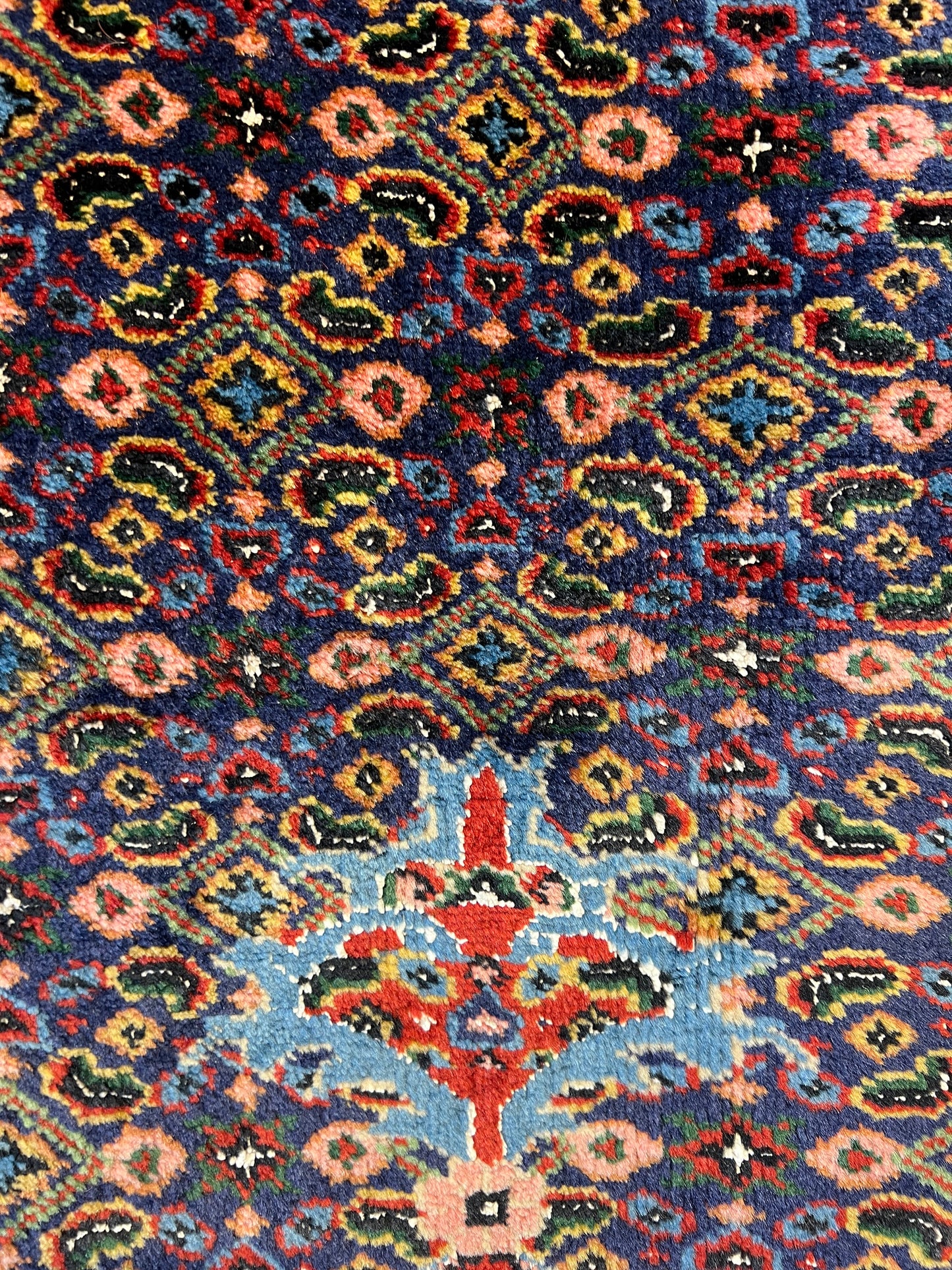 ARDEBIL RUG AZARBAYJAN IRAN FISH PATTERN