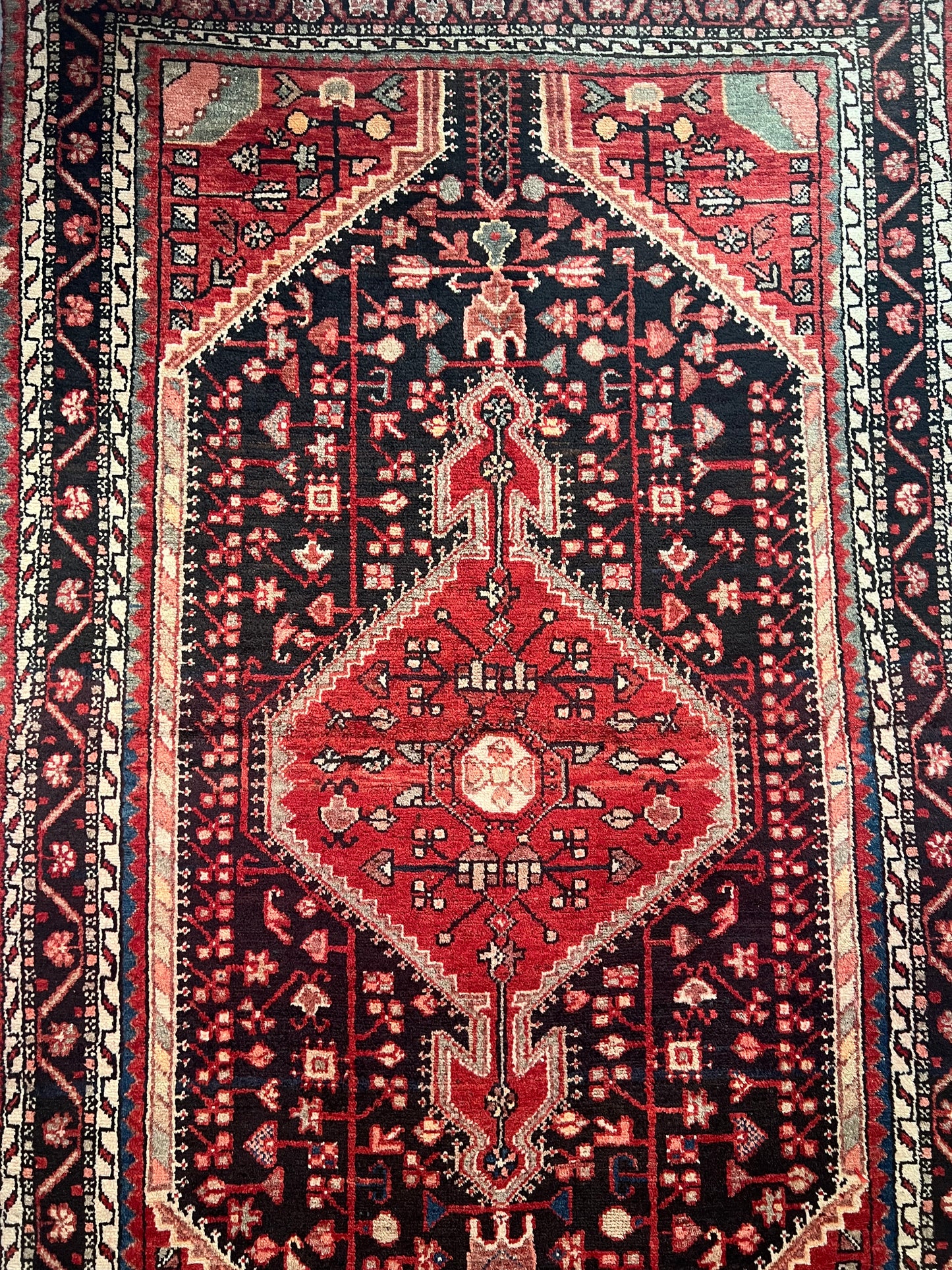 TOYSERKAN RUG