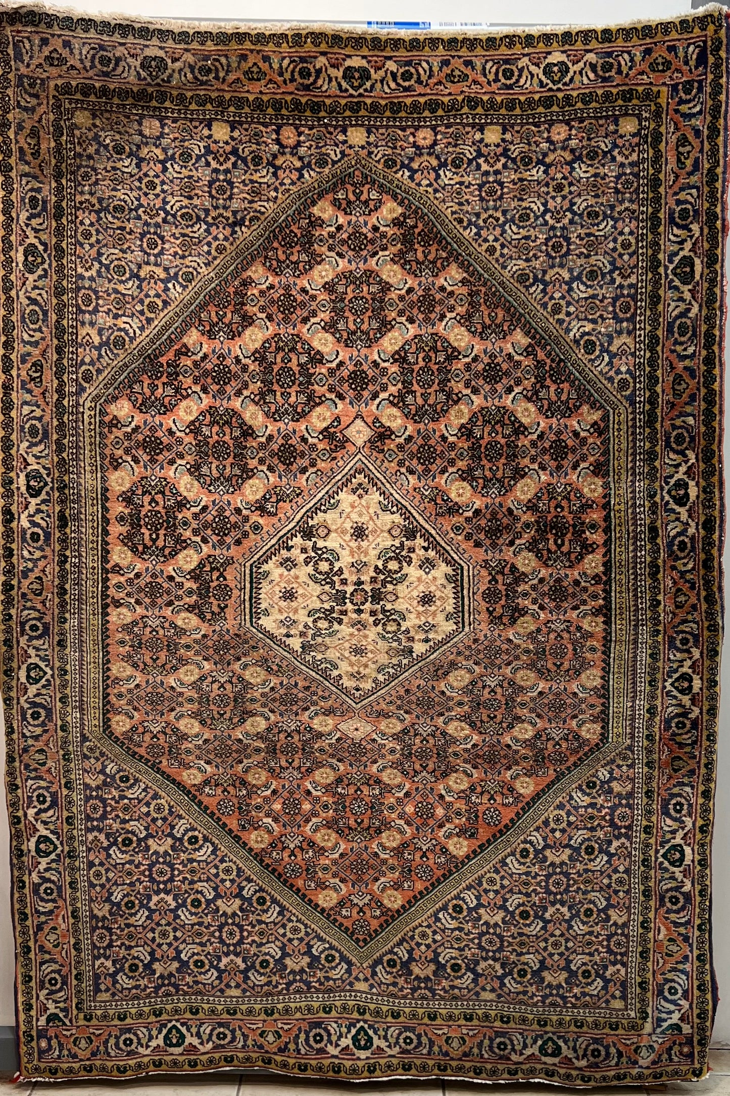 BIJAR RUG