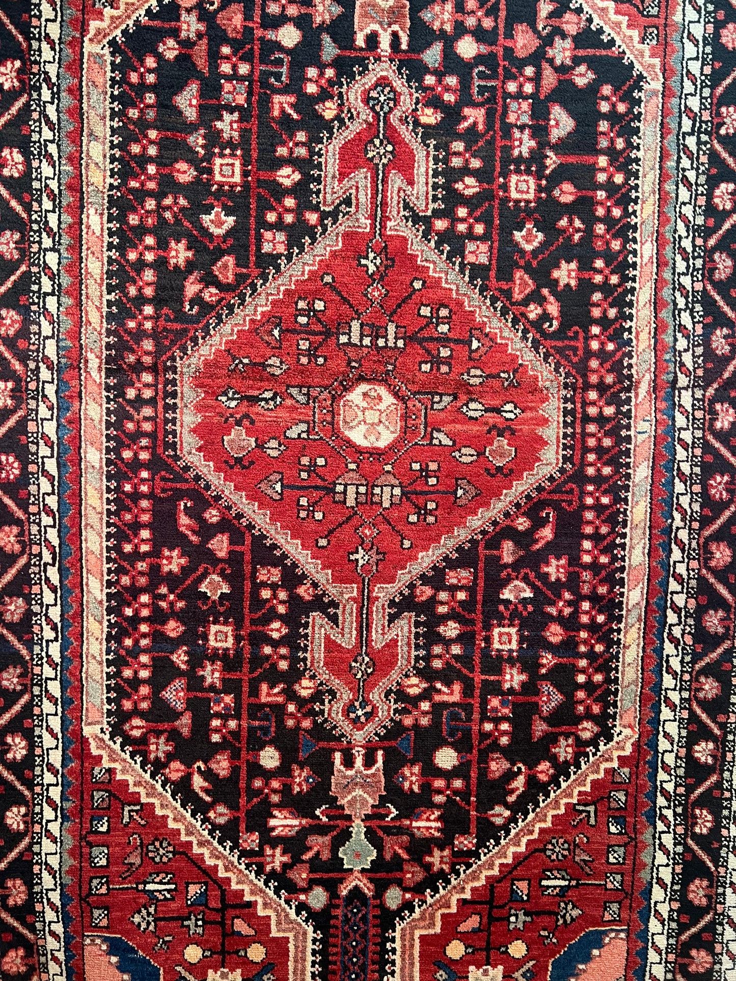 TOYSERKAN RUG