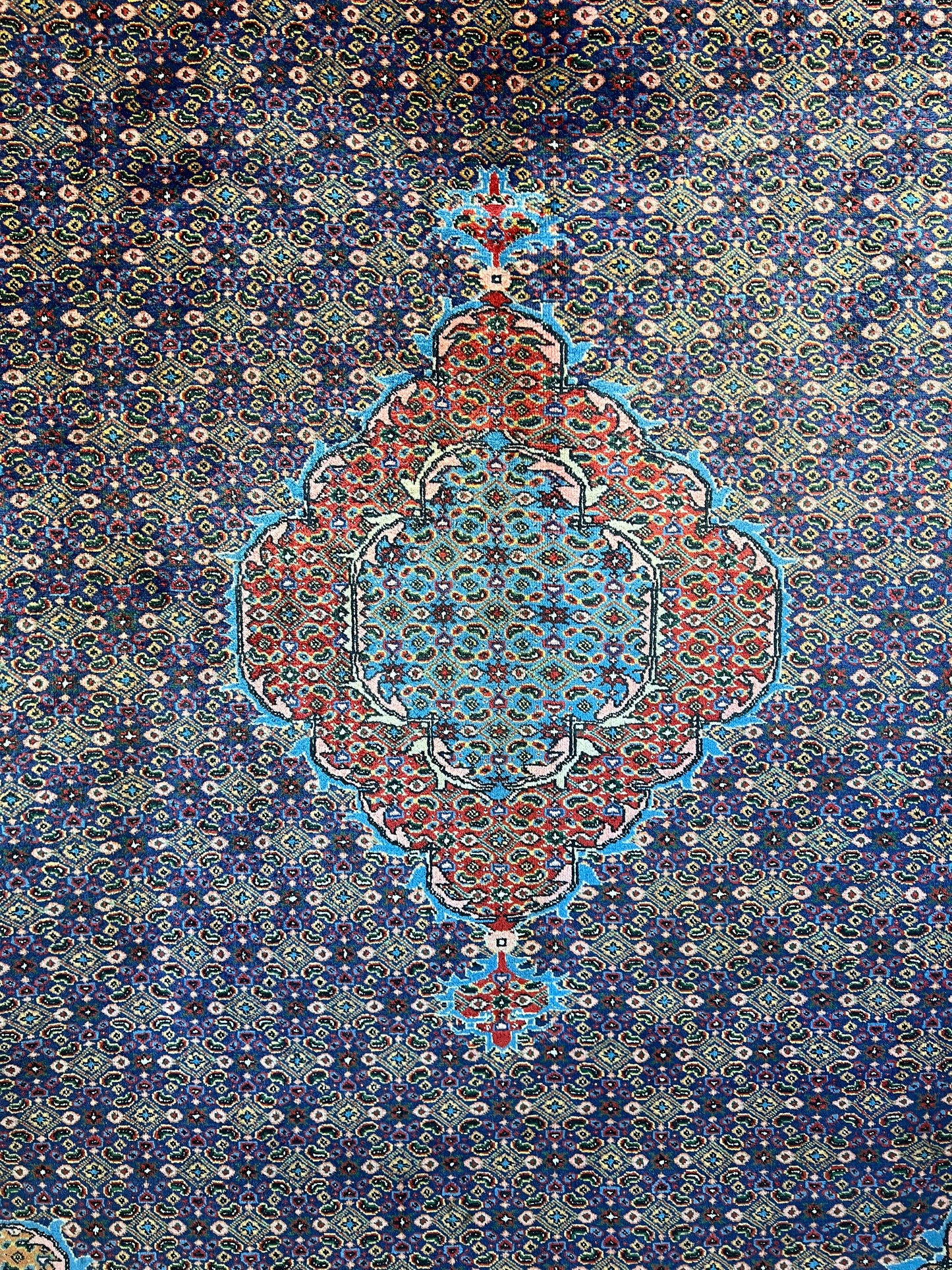 ARDEBIL RUG AZARBAYJAN IRAN FISH PATTERN