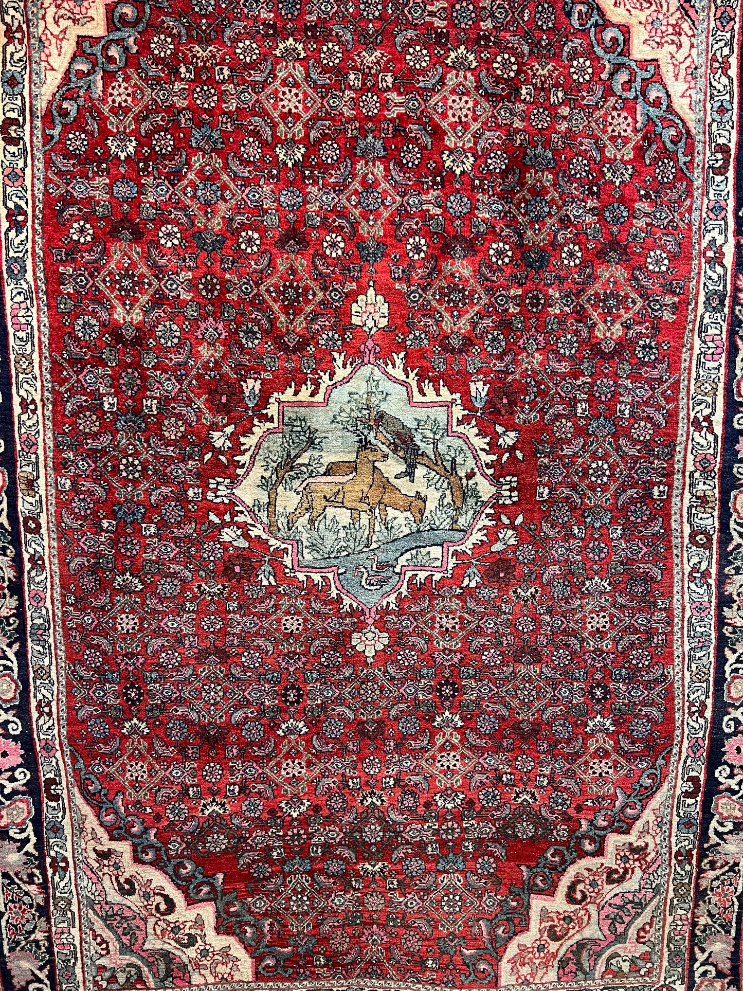 BIJAR RUG