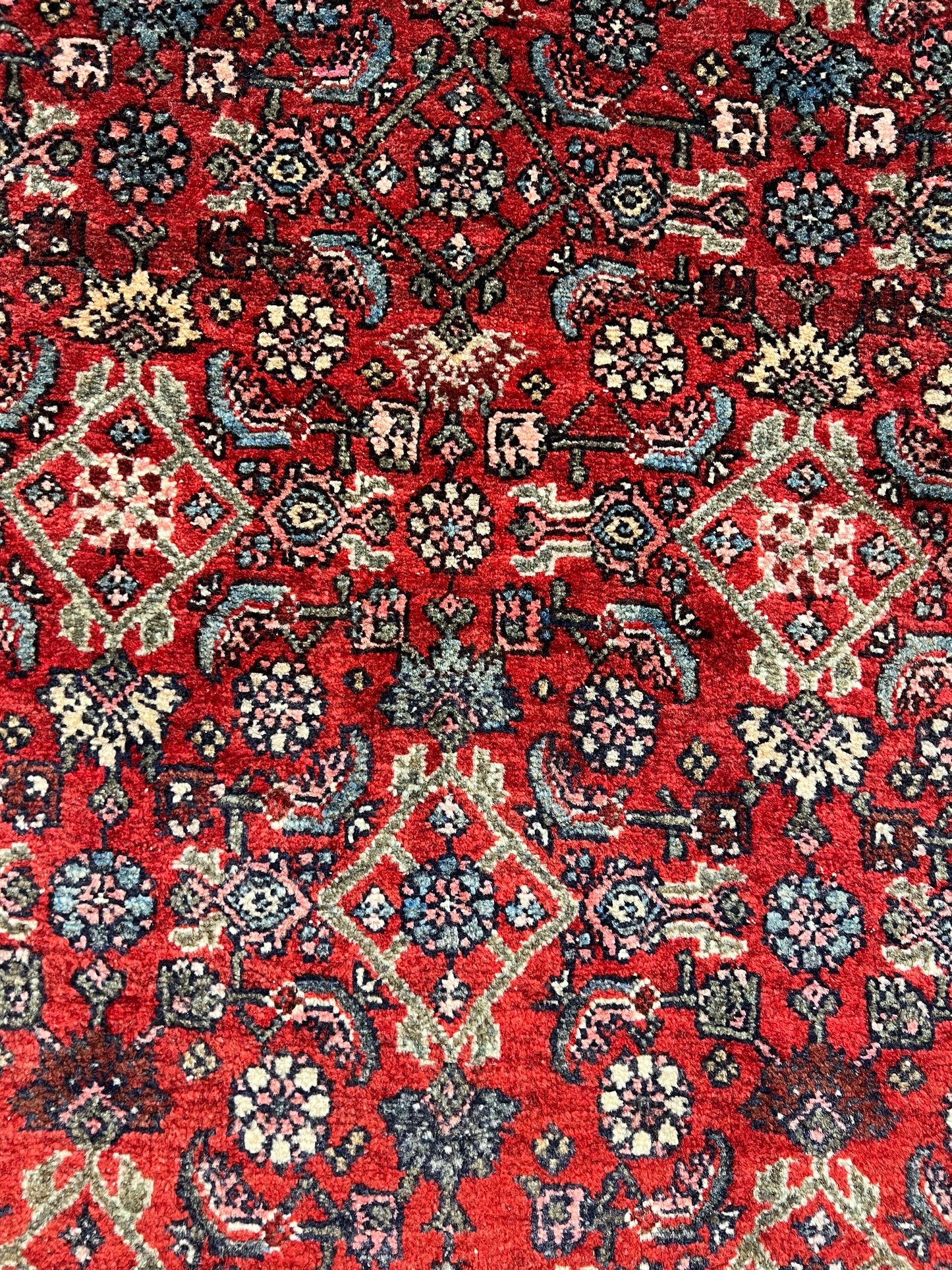 BIJAR RUG