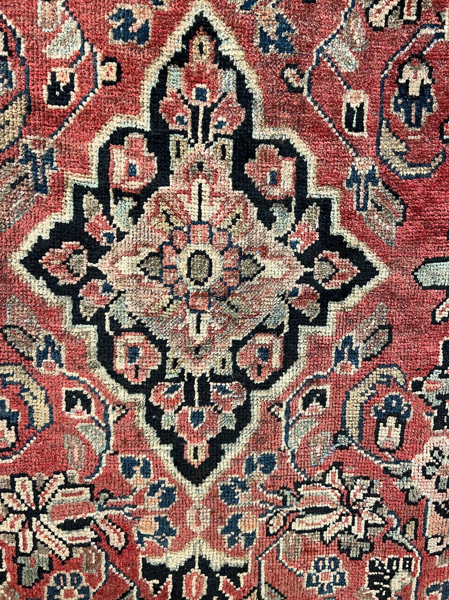 MAHAL MOSHG ABAD RUG