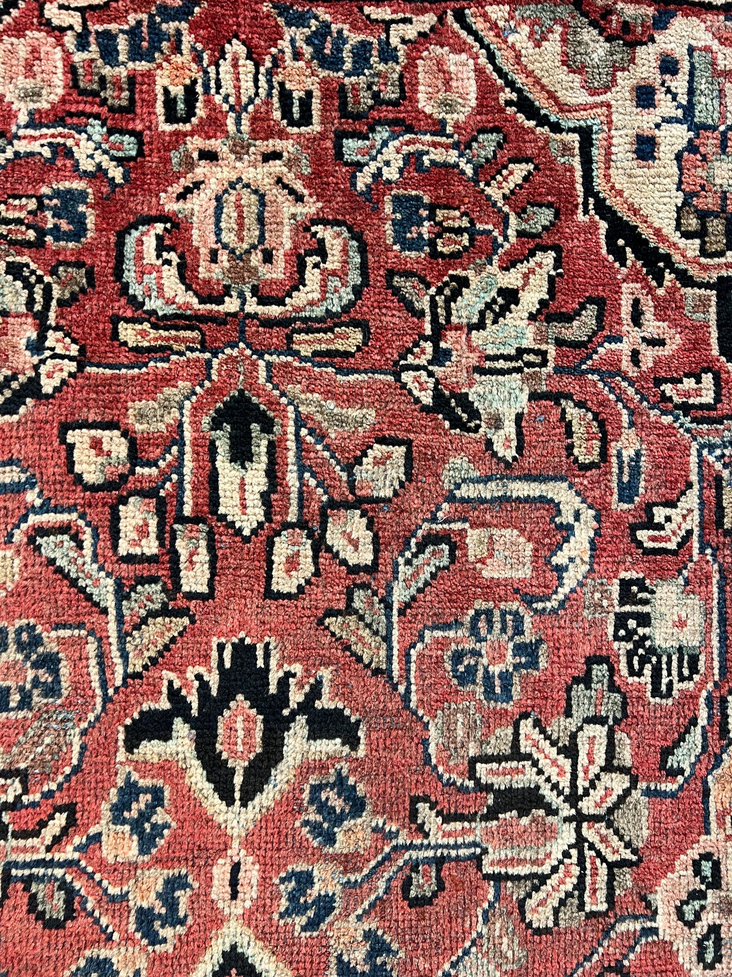 MAHAL MOSHG ABAD RUG