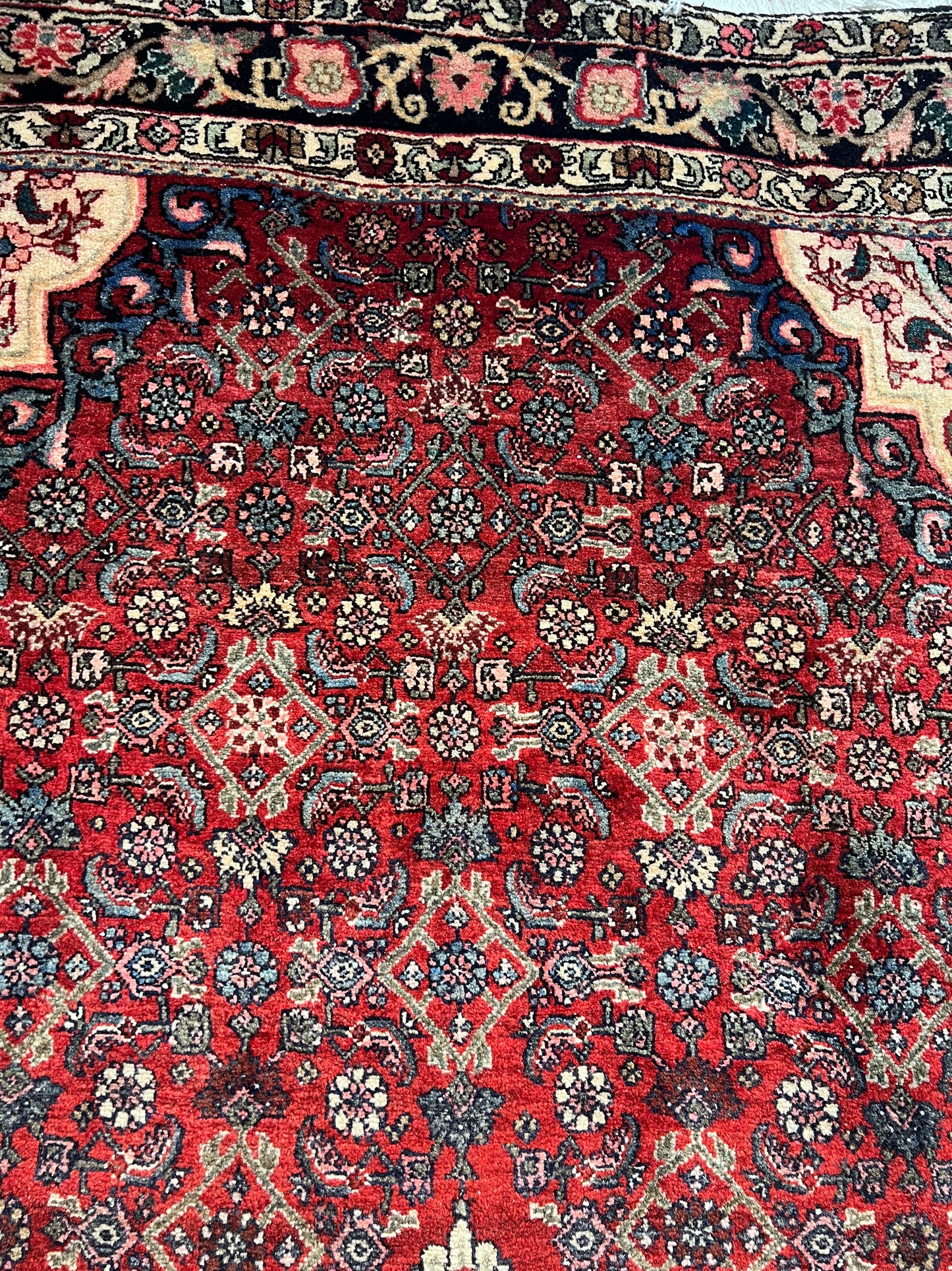 BIJAR RUG