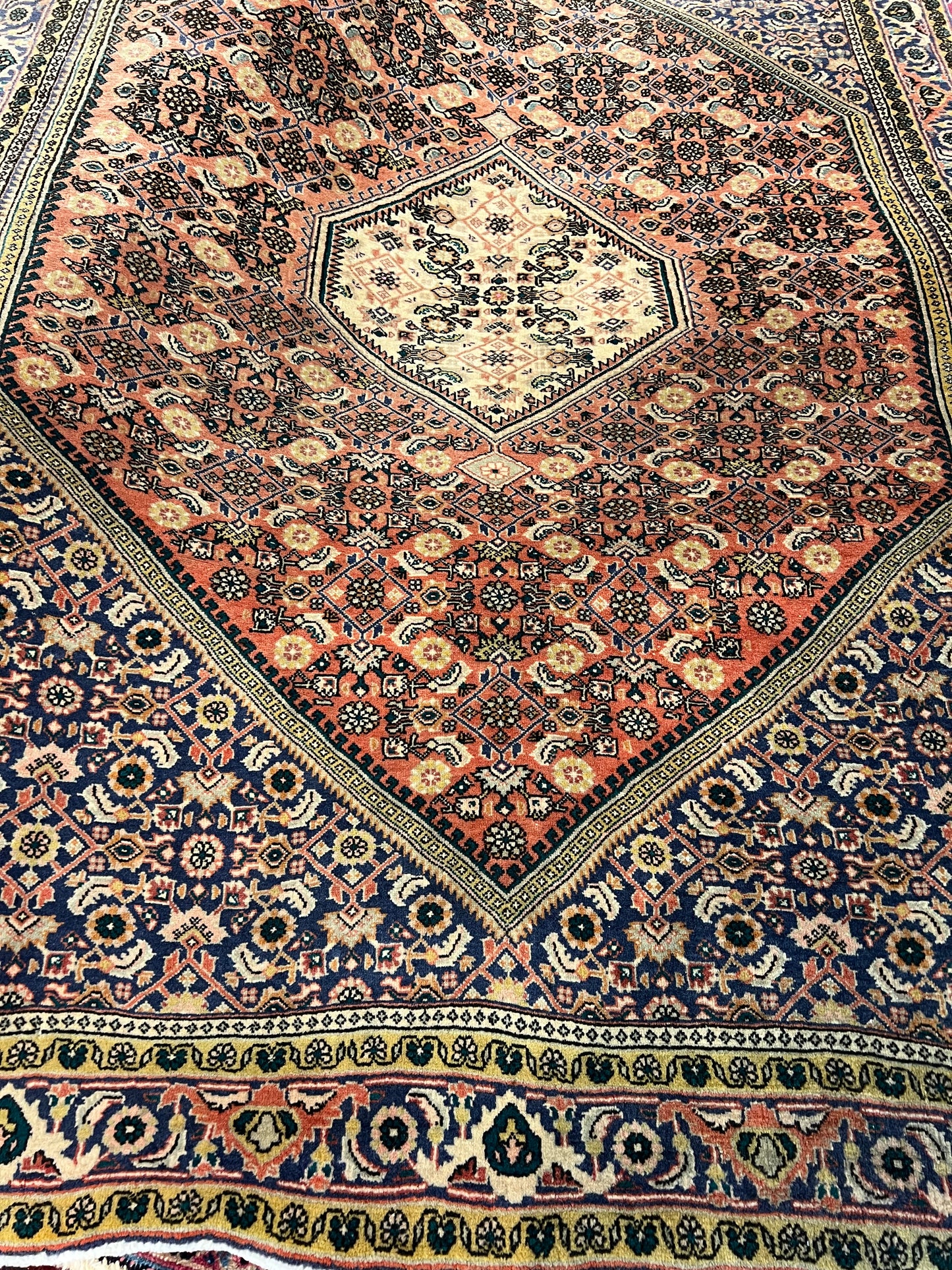 BIJAR RUG