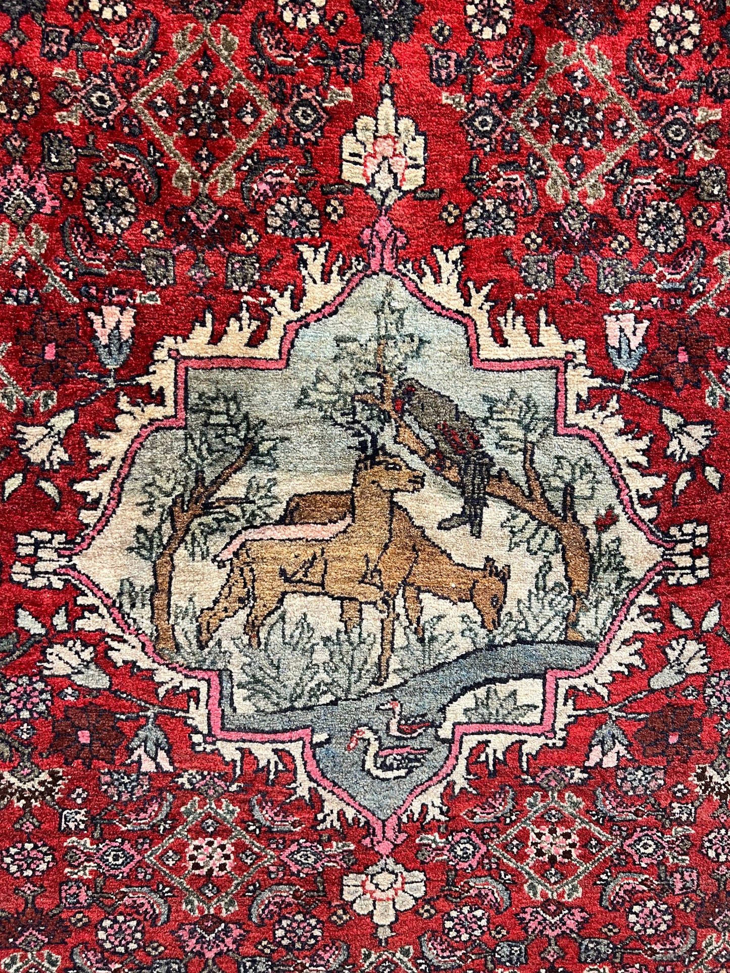 BIJAR RUG