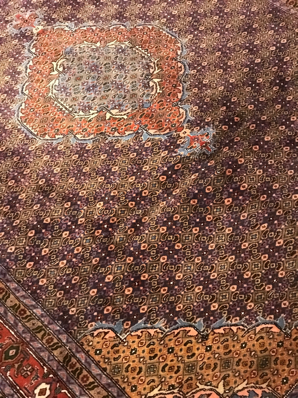 ARDEBIL RUG AZARBAYJAN IRAN FISH PATTERN